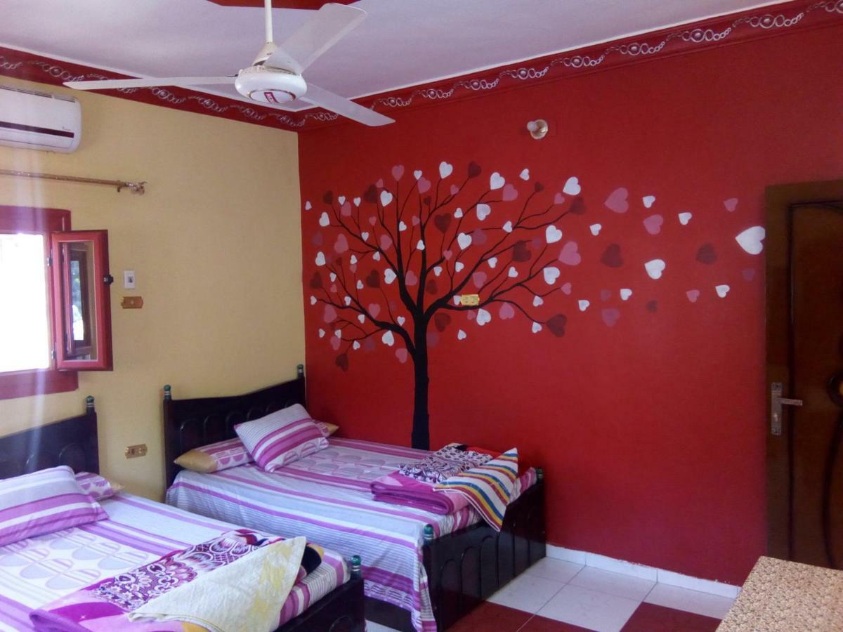 El-Amin Guest House Asszuán Kültér fotó