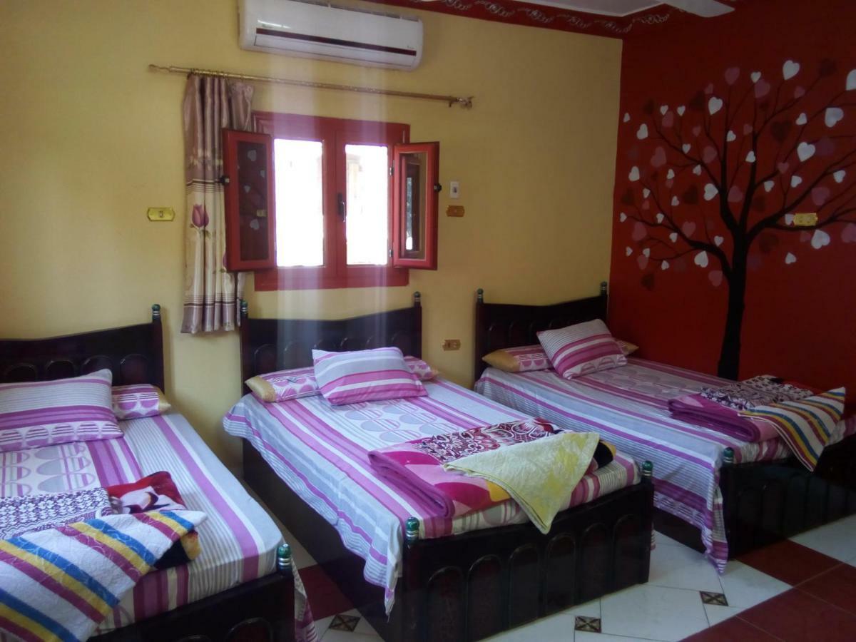 El-Amin Guest House Asszuán Kültér fotó