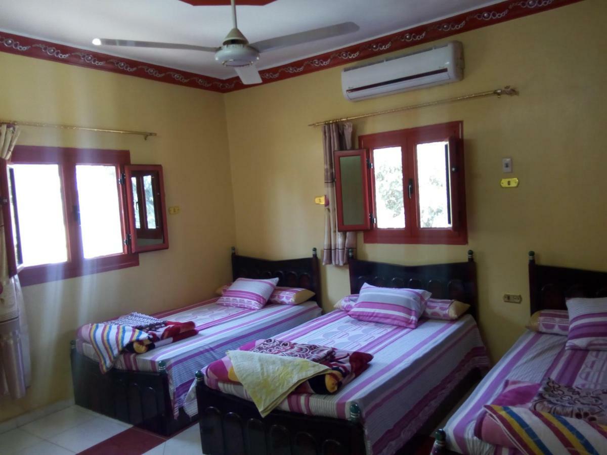 El-Amin Guest House Asszuán Kültér fotó